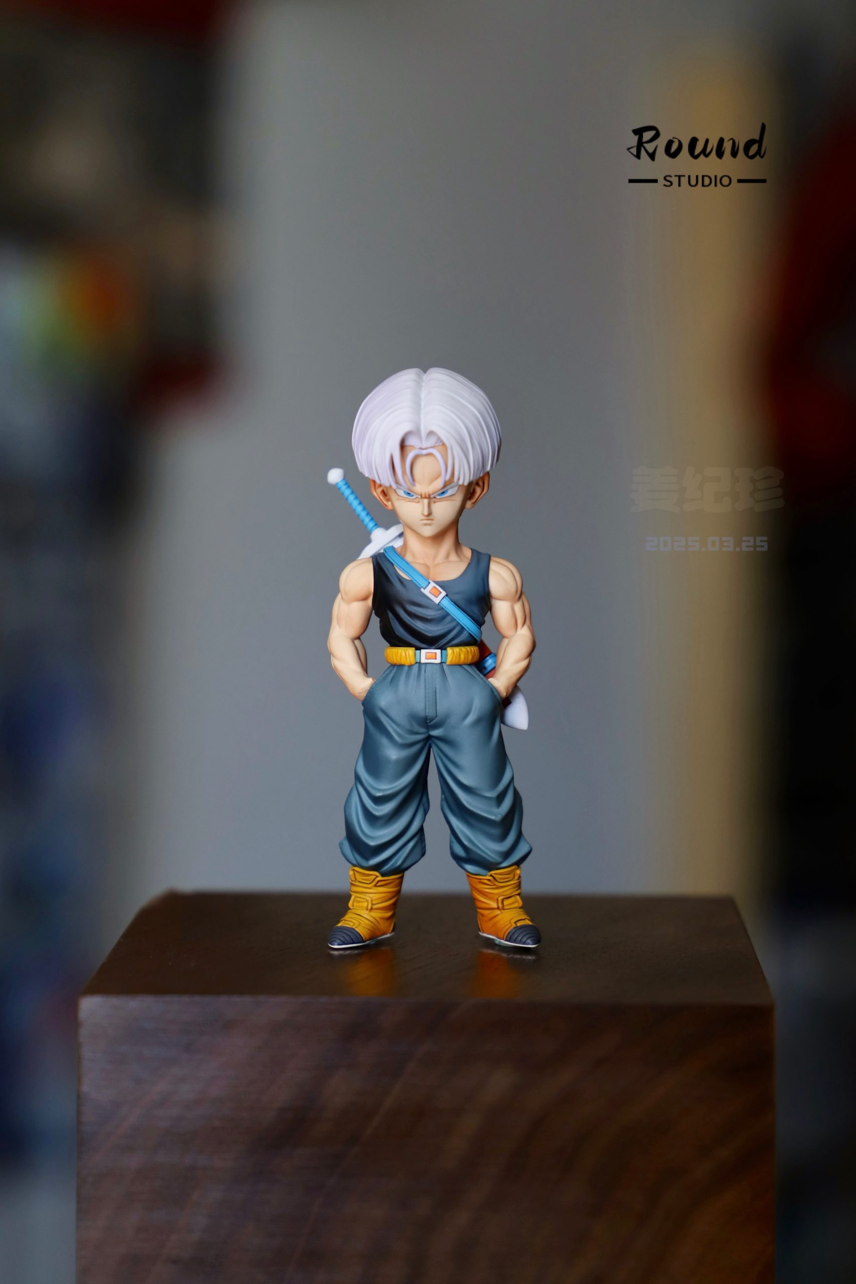 Round Studio - Dragon Ball Z Warrior Resonance Trunks - OrzGK